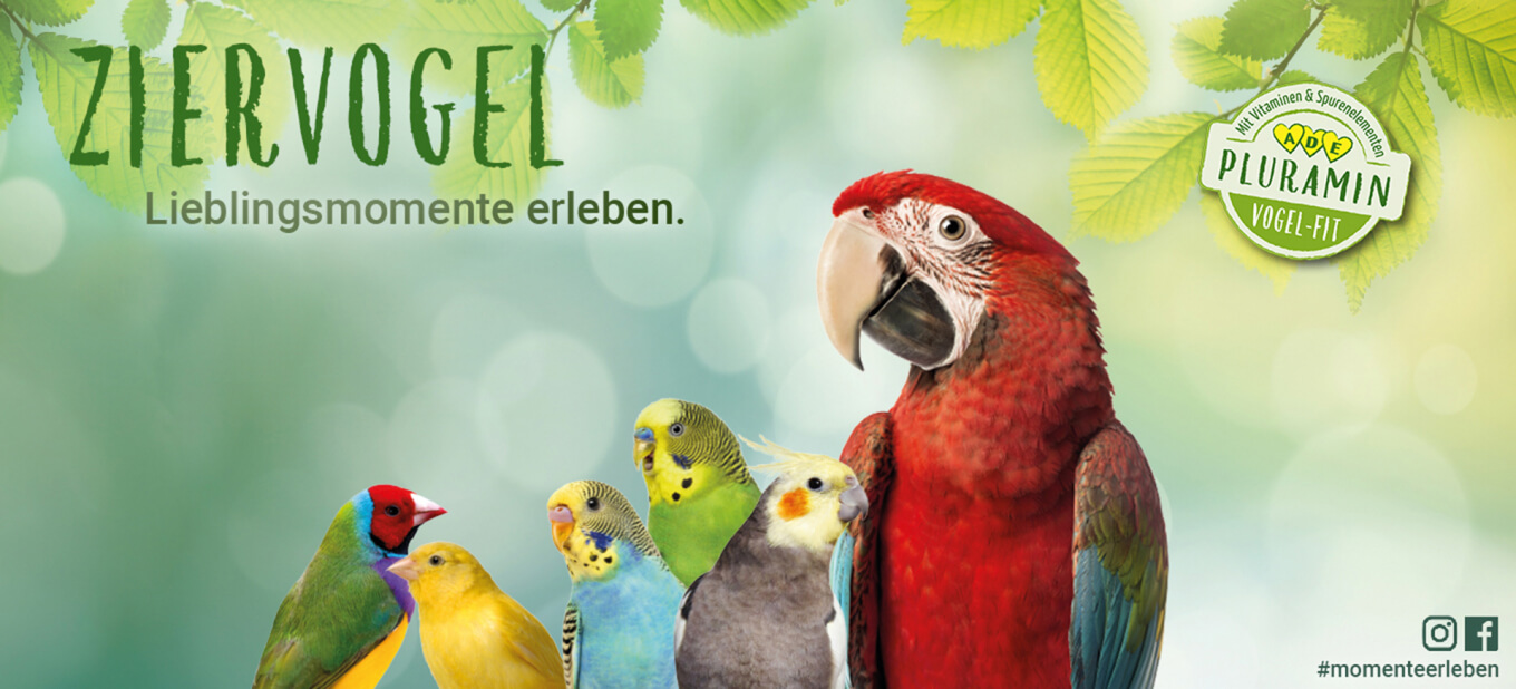 PANTO Ziervogelfutter - Futter für Papageien, Wellensittiche, Exoten und mehr