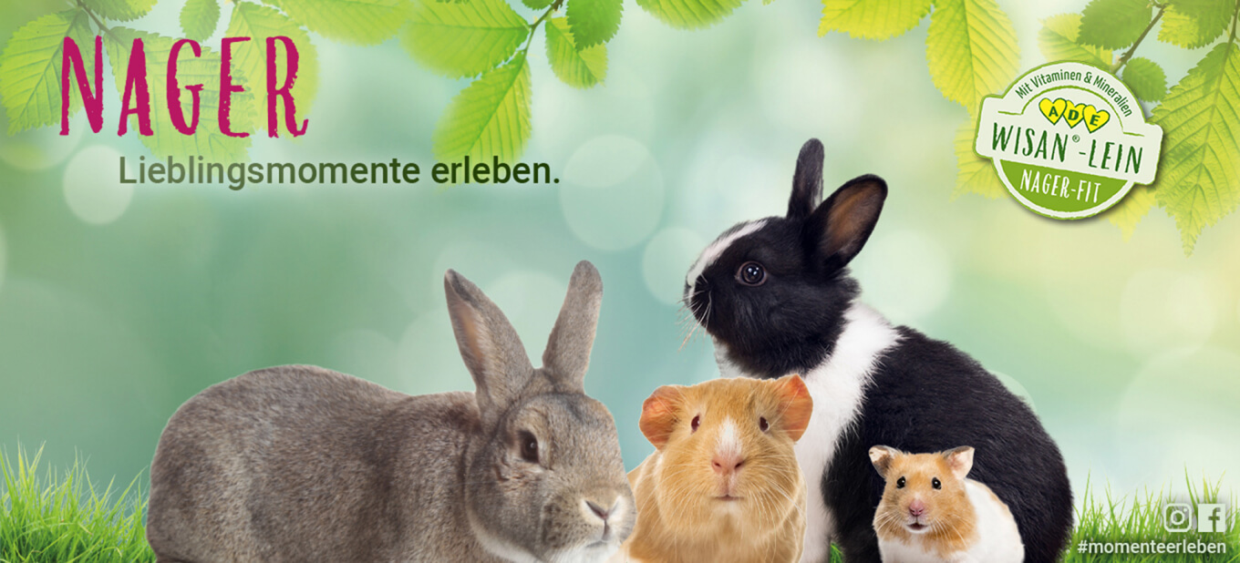 PANTO Futter für Nager - Kaninchen, Meerschweinchen, Chinchilla und mehr