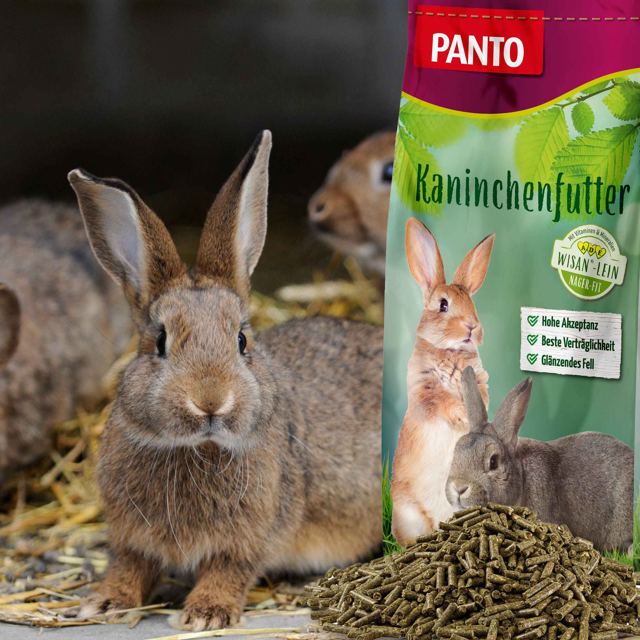 PANTO® Kräuterkanin (Zucht und Mast)